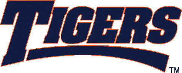 Auburn Tigers 1998-2003 Wordmark Logo iron on transfers for clothing